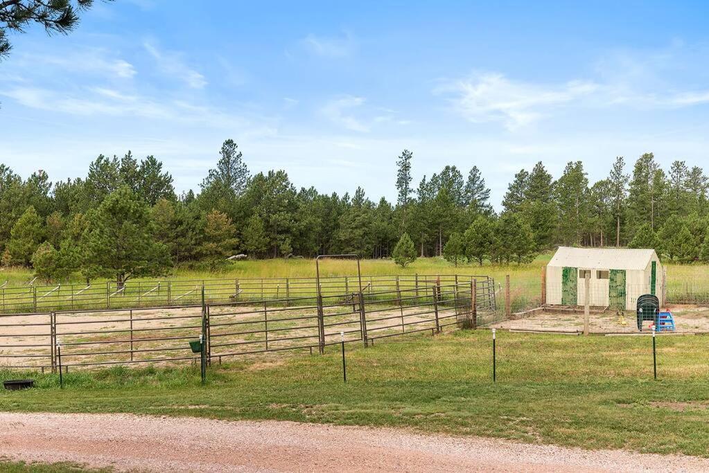 Papa'S Place On Willow Creek Custer Exterior photo